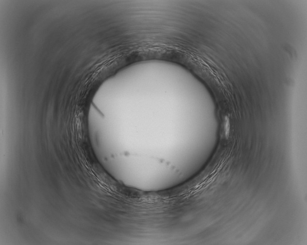 X0000111831059200907231018
