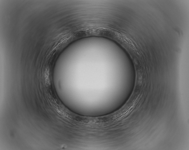 X0000111831060200907231018