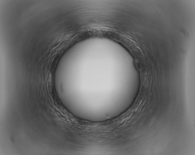 X0000111831061200907231018
