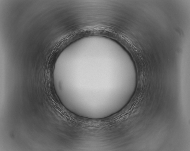 X0000111831062200907231018