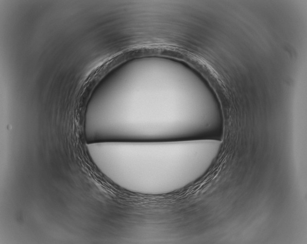 X0000111831064200907231017