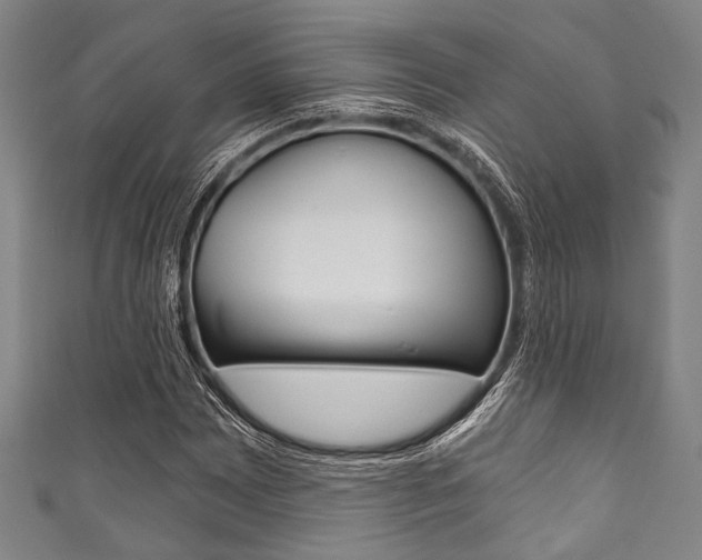 X0000111831065200907231017
