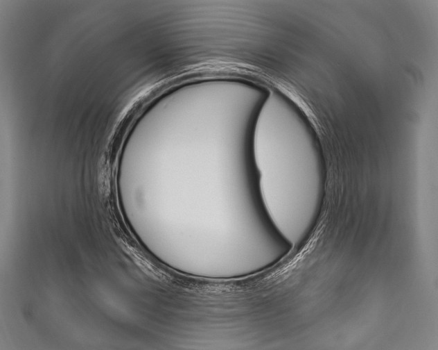 X0000111831067200907231017