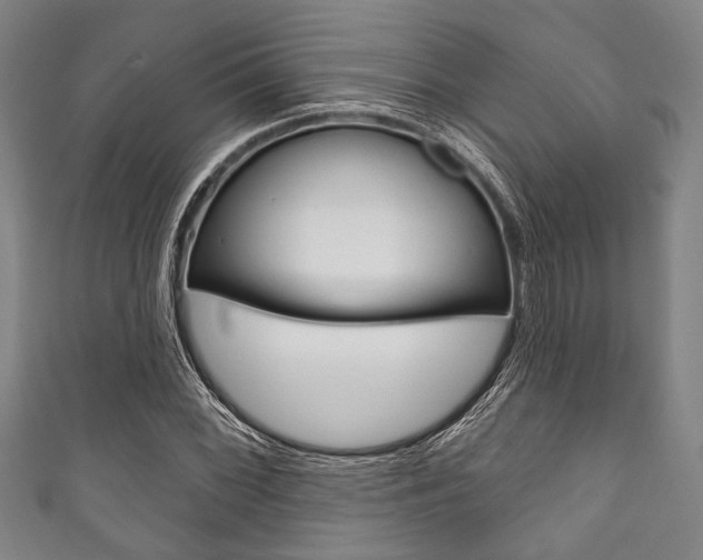 X0000111831068200907231017