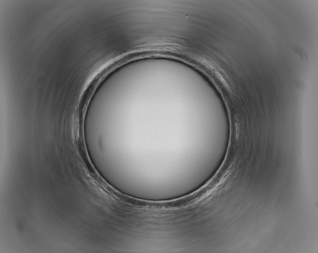 X0000111831069200907231017