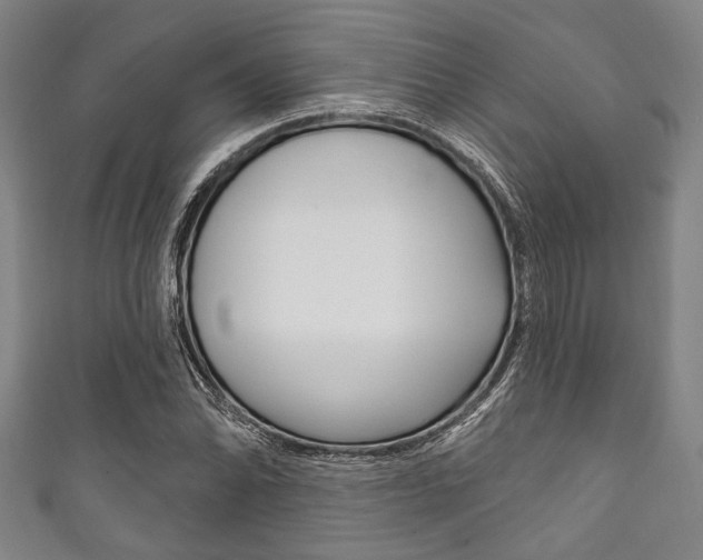 X0000111831070200907231017
