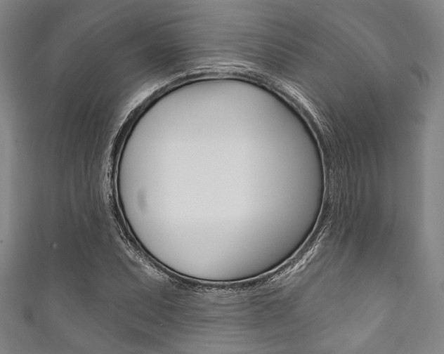 X0000111831071200907231017