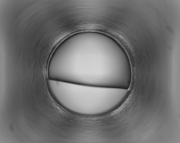 X0000111831073200907231017