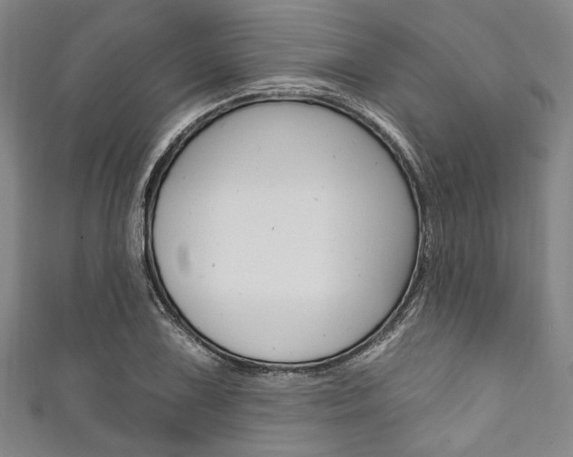 X0000111831075200907231017