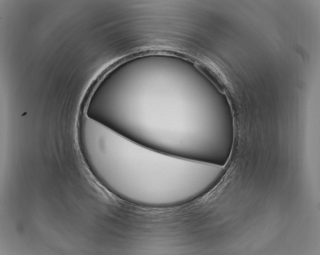 X0000111831076200907231017