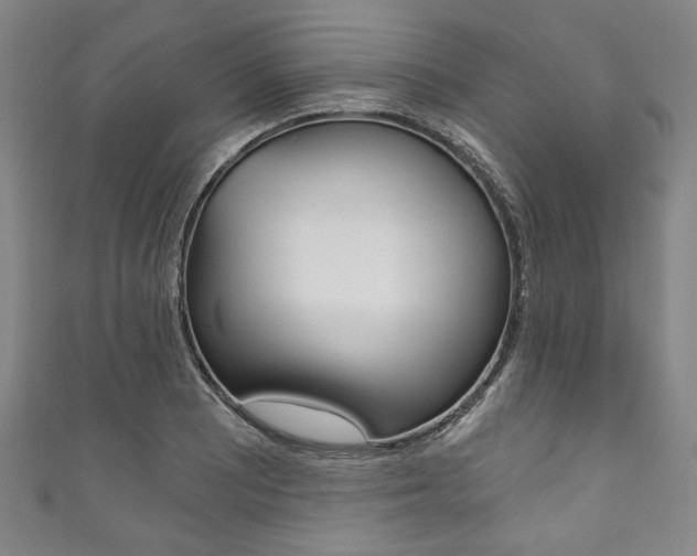 X0000111831081200907231017