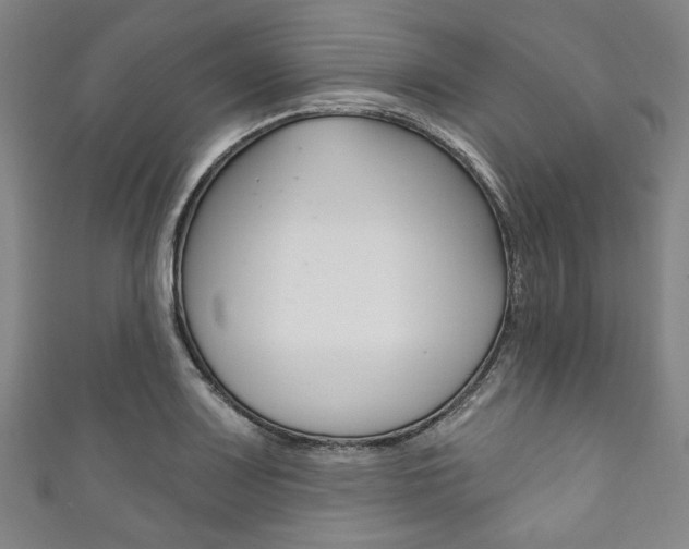 X0000111831083200907231017