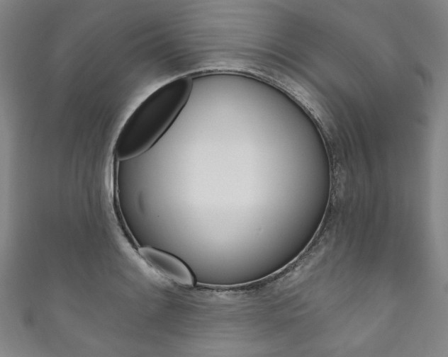 X0000111831084200907231017
