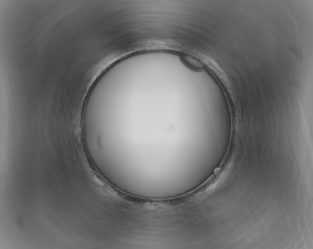 X0000111831089200907231017