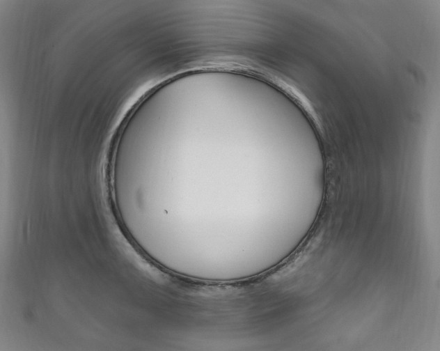 X0000111831091200907231017