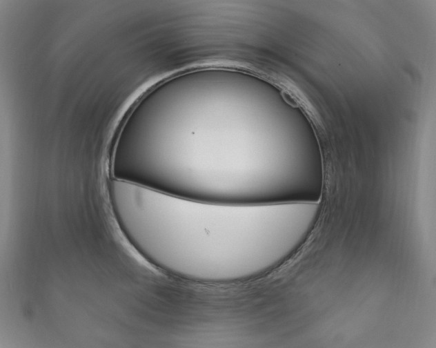 X0000111831092200907231017