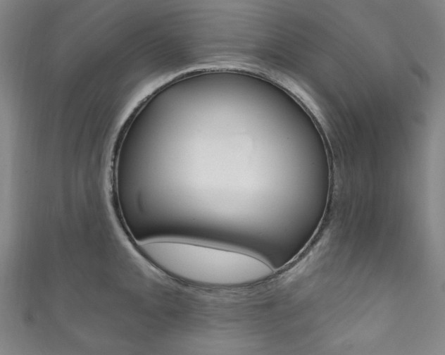 X0000111831093200907231017