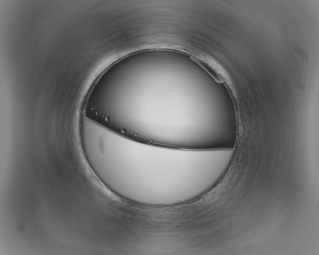 X0000111831096200907231017