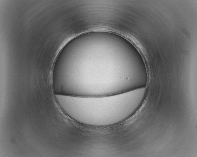 X0000111831097200907231017