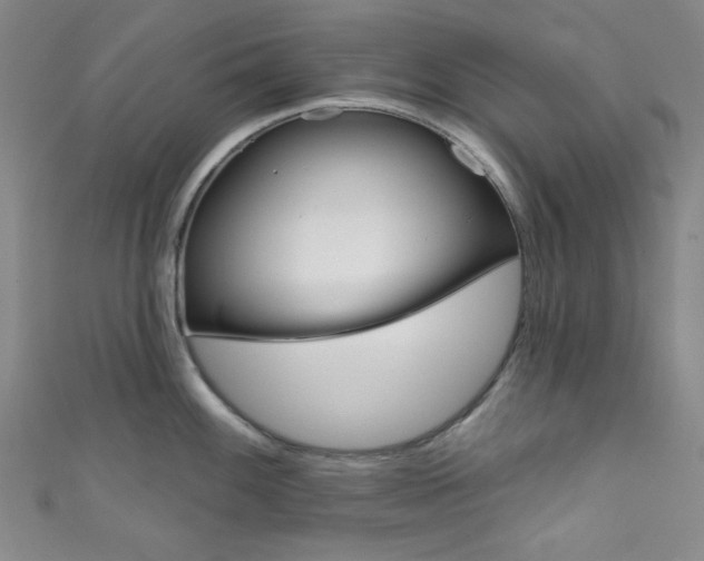 X0000111831100200907231017