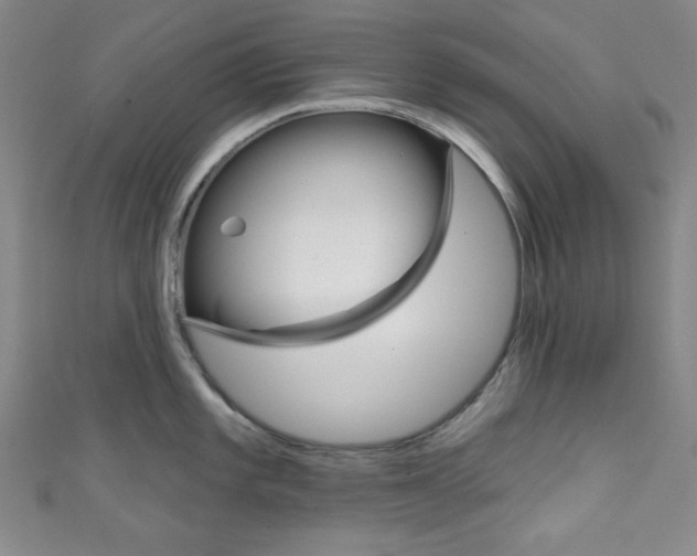 X0000111831101200907231017