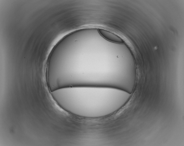 X0000111831102200907231017