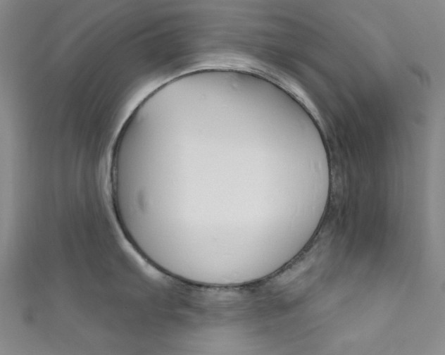 X0000111831103200907231017