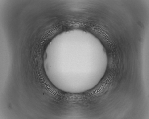 X0000111831105200907231016