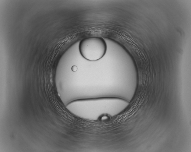 X0000111831106200907231016