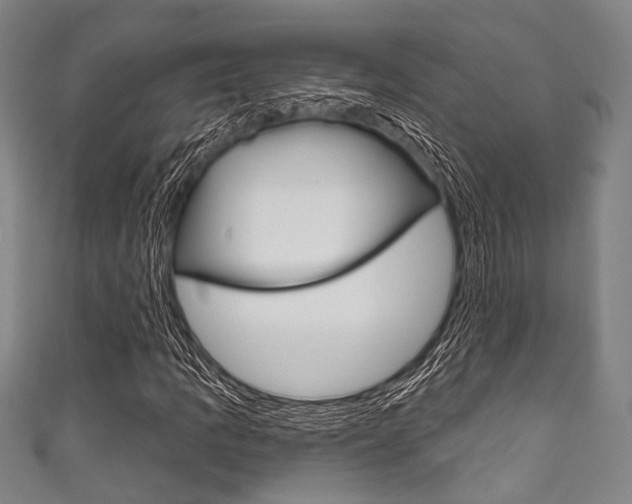 X0000111831109200907231016