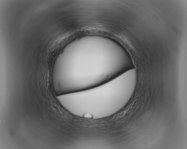 X0000111831111200907231016