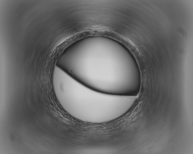 X0000111831112200907231016