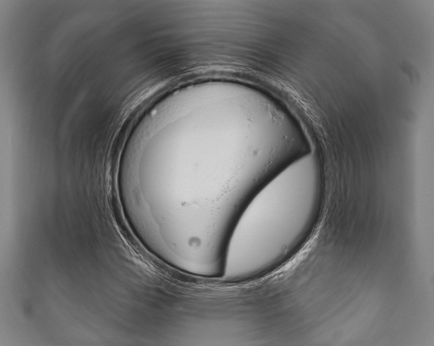 X0000111831113200907231016