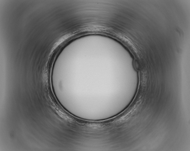 X0000111831114200907231016