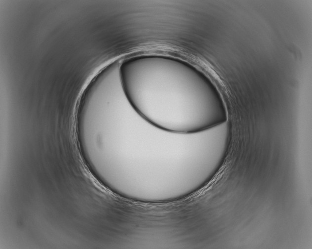 X0000111831116200907231016