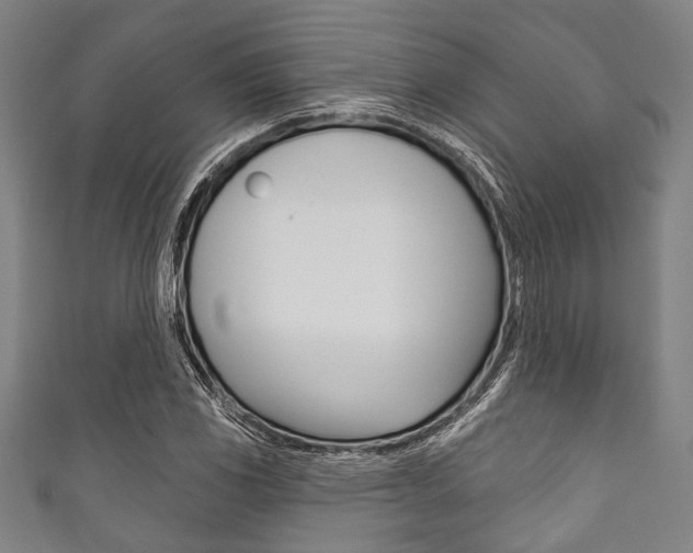 X0000111831117200907231017