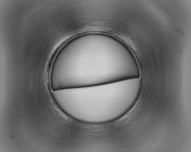 X0000111831119200907231017