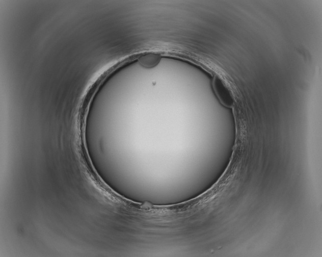 X0000111831120200907231017