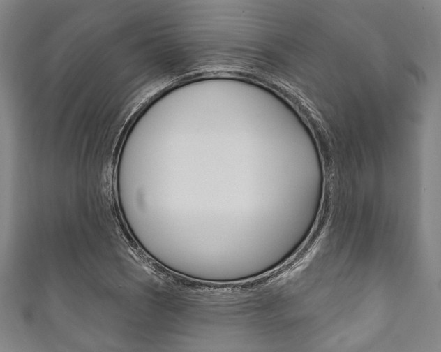 X0000111831121200907231017