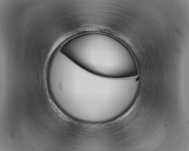 X0000111831122200907231017