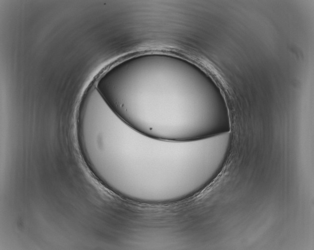 X0000111831124200907231017