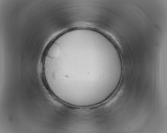 X0000111831125200907231017