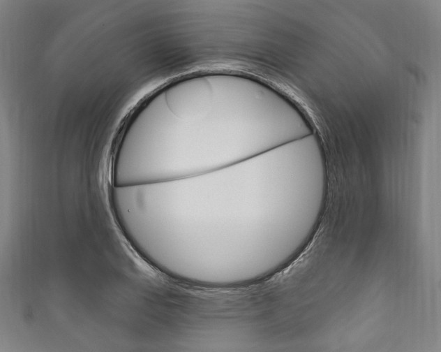 X0000111831127200907231017