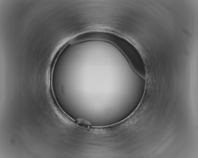 X0000111831128200907231017