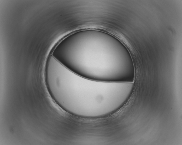X0000111831132200907231017