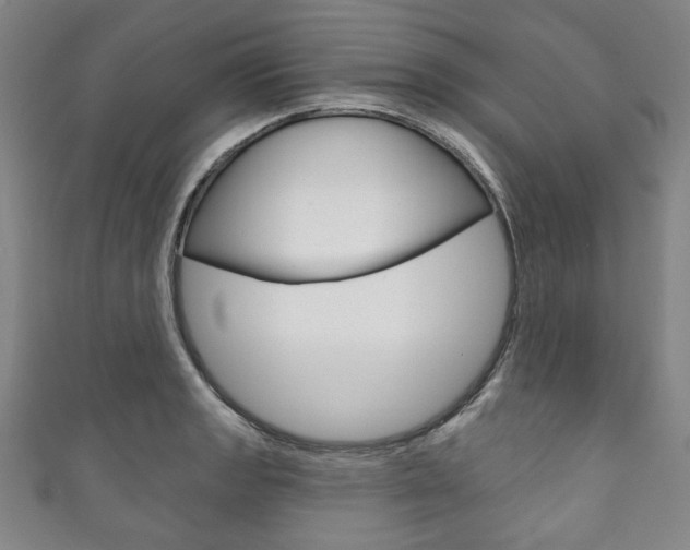 X0000111831133200907231017