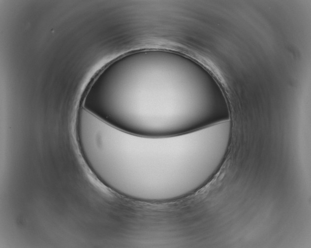 X0000111831136200907231017