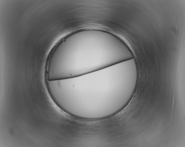 X0000111831139200907231017