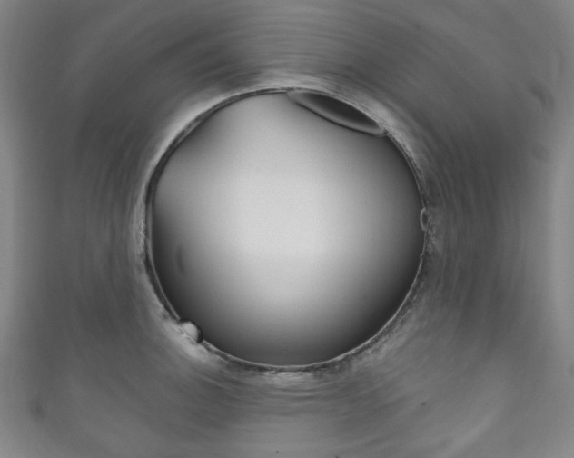 X0000111831140200907231017