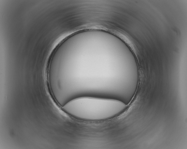 X0000111831141200907231017
